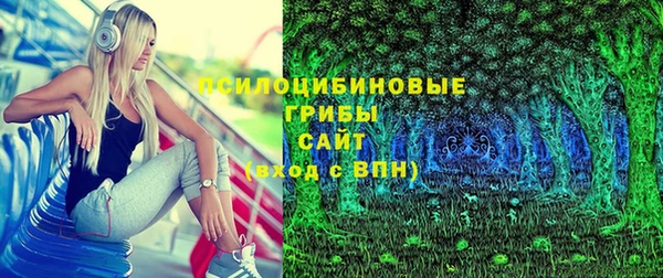 гашик Баксан