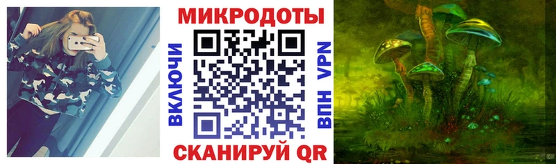 Псилоцибиновые грибы Psilocybe  Новое Девяткино 
